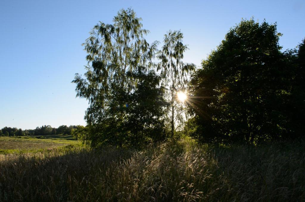 Vasekoja Holiday Center Vahtseliina Kültér fotó